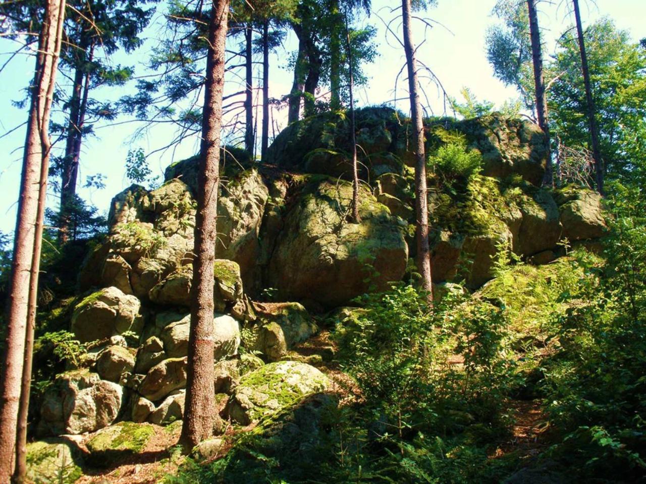 Ferienwohnungen Waldblick Waldmünchen Dış mekan fotoğraf