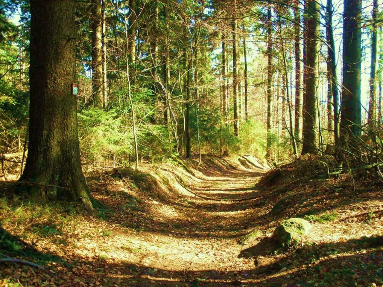 Ferienwohnungen Waldblick Waldmünchen Dış mekan fotoğraf